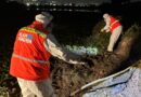 Refuerza Municipio de Querétaro acciones contra mosquitos en Querétaro 2000 y zonas aledañas