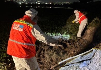 Refuerza Municipio de Querétaro acciones contra mosquitos en Querétaro 2000 y zonas aledañas
