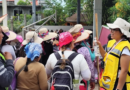 Mantiene Gobierno estatal vigilancia y seguimiento de Peregrinación al Tepeyac