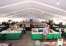 Invita SECULT a visitar la Feria del Libro Plaza Constitución