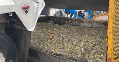 Suspende PEPMADU equipo y recepción de insumos en procesadora de alimentos en El Marqués tras denuncias por malos olores