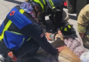 Mueren 3 perros en incendio de vivienda en la colonia La Loma VI