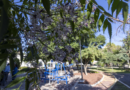 Invierte Gobierno del Estado 18.4 mdp para rehabilitación en Constituyentes del Parque