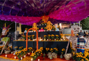 Anuncia el Municipio de El Marqués su Festival de Día de Muertos 2026 en La Cañada